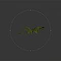 Four Green Plants Fern Yellow Edged Leaves Small Palm Like And Leafy On Dark Background
