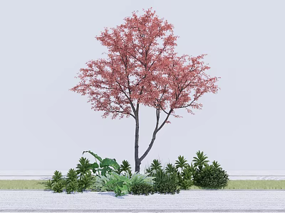 Red Leaf Arbor with Dark Trunk Surrounded by Green Shrubs and Plants 3d model