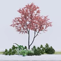Red Leaf Arbor with Dark Trunk Surrounded by Green Shrubs and Plants 3d model