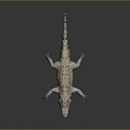 Crocodile Alligator Nile Crocodile carnivore reptile cold-blooded animal reptile reptile 3d model