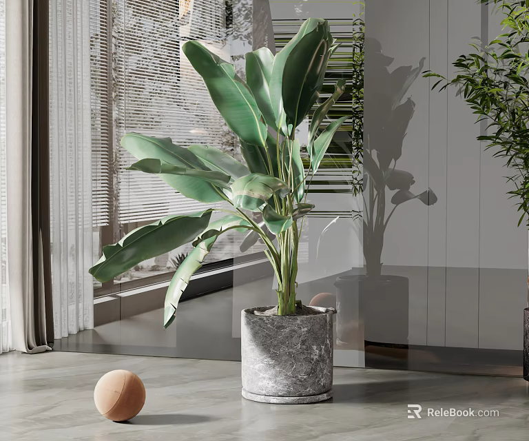 Large Wide Leaf Potted Plant in Gray Pot Modern Indoor with Blinds and Smooth Floor 3d model 