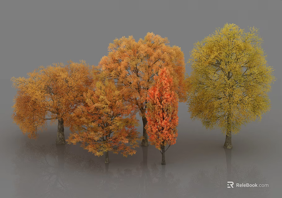 Vibrant Autumn Arbor Trees With Golden Orange And Yellow Foliage In Outdoor Garden Landscape 3d model 