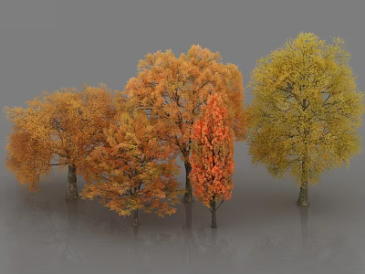 Vibrant Autumn Arbor Trees With Golden Orange And Yellow Foliage In Outdoor Garden Landscape 3d model