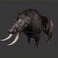 Wild Boar With Long Curved Tusks And Rough Brown Skin Standing