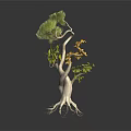 Unique Plant with Curved Trunk Exposed Roots Green Foliage and Yellow Flowers