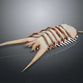 Detailed Arthropod Like Creature Organ And Hair Features With Segmented Body Spines And Hairy Texture