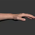 Detailed Human Hand with Fine Hair and Natural Skin Texture Closeup View