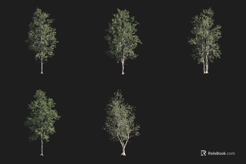 Various Arbor Trees With Lush Green Leaves And Distinct Trunk Structures 3d model