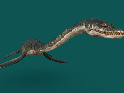 Long Neck Marine Reptile 3D Model With Sharp Teeth On Green Background 3d model