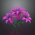 Three Purple Flowers With Purple Petals Yellow Stamens Green Stems And Leaves