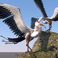 Flying Animals Herons With Spread Wings Standing On Rock Under Blue Sky Near Red Flowers