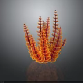 Tropical Fish Swimming Around Red And Yellow Coral Structure On Dark Background With Reflection