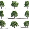 Various Arbor Forms With Human Figure For Size Comparison 3d model
