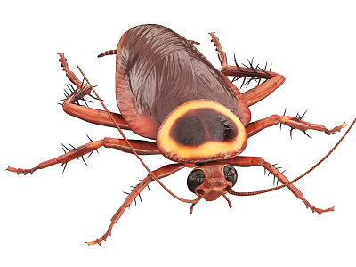 Brown Reptile With Yellow Ringed Body Long Antennae And Spiny Legs 3d model