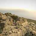 Natural Garden Landscape Design With Rocky Terrain Green Vegetation And Clear Sky