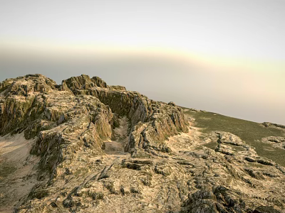 Natural Garden Landscape Design With Rocky Terrain Green Vegetation And Clear Sky 3d model