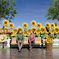 Scenic Bench Surrounded By Sunflowers White Picket Fence And Two People Under Blue Sky