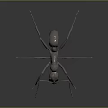 Metallic Ant With Detailed Legs And Body Structure On Dark Background