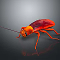 Red and Orange Cockroach with Long Antennae and Shiny Exoskeleton on Dark Background