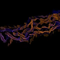 Artistic Flowing Purple And Orange Ribbons On Black Background Design