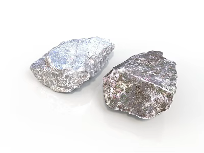 Natural Wood Stone Pieces With Silver White And Dark Gray Rough Surface 3d model