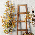 Bonsai Potted Plants Display With Wooden Ladder And Colorful Autumn Leaves