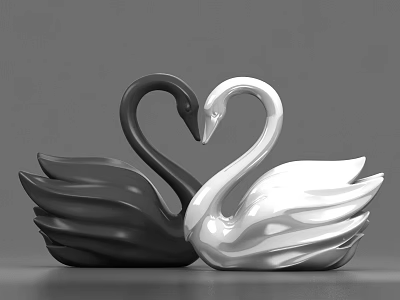 Two Black and White Swans in Heart Shaped Pose with Elegant Feathers 3d model
