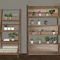 Wooden Ladder And Multi Tiered Shelves With Potted Plants On Wooden Floor