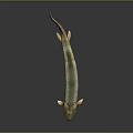 Long Bodied Greenish Yellow Fish With Shiny Scales Orange Tail And Realistic 3D Render