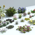 Variety of Flowers and Plants Including Sunflowers Purple Flowers Green Plants and Water Lilies