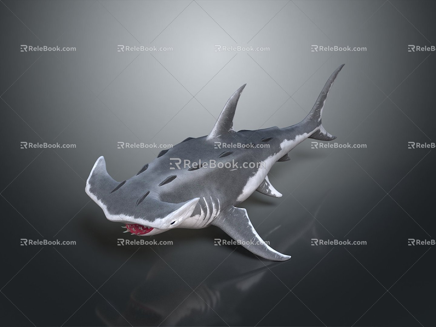 shark great white shark whale shark hammerhead shark tiger head shark man-eating shark blue shark coral red coral white coral 3d model