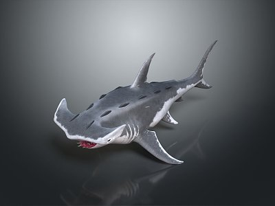 shark great white shark whale shark hammerhead shark tiger head shark man-eating shark blue shark coral red coral white coral 3d model