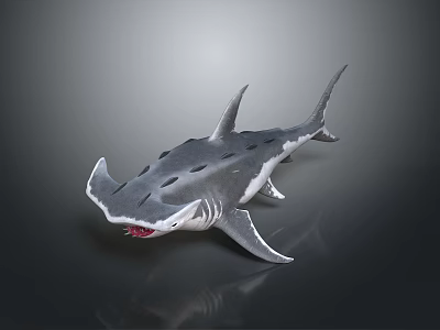 Realistic Gray Shark with Broad Head Dorsal Fins Open Mouth Sharp Teeth 3D Render 3d model