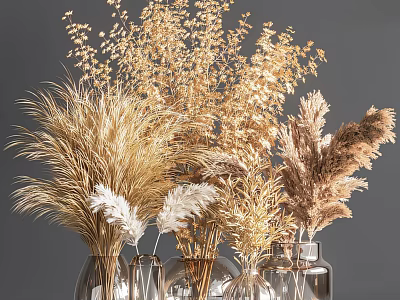 Transparent Glass Vases With Various Dried Grasses In Golden White Brown Tones On Grey Background 3d model