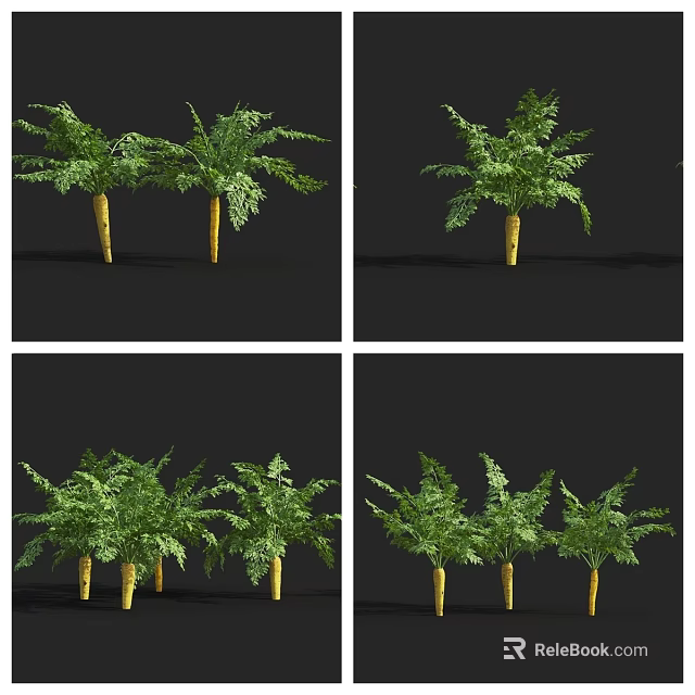 Green Leafy Plants With Yellow Stems In Single And Multiple Display Angles 3d model 
