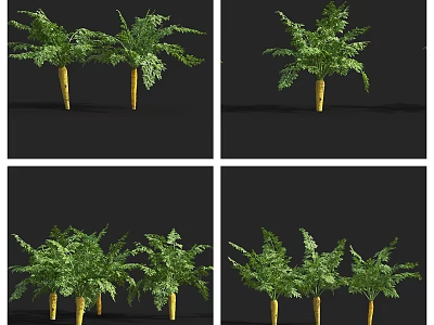 Green Leafy Plants With Yellow Stems In Single And Multiple Display Angles 3d model
