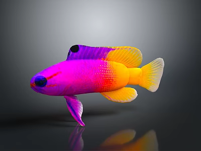 Vibrant Colorful Aquatic Fish With Pink Purple Yellow Scales And Reflection On Dark Background 3d model