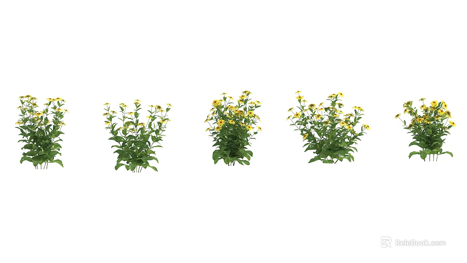 Vibrant Yellow Flowers With Lush Green Leaves In Garden Decoration 3d model 