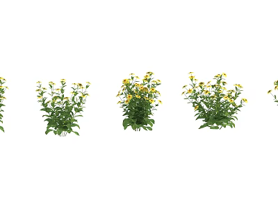 Vibrant Yellow Flowers With Lush Green Leaves In Garden Decoration 3d model