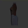 Gray Long Sleeved High Neck Dress With Color Block Design And Pleated Skirt