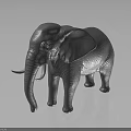 Gray Elephant 3D Model with Tusks Standing on Smooth Surface and Dark Background 3d model