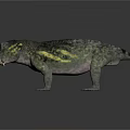 Prehistoric Reptile 3D Model With Green Yellow Stripes Stocky Body Short Legs And Large Head