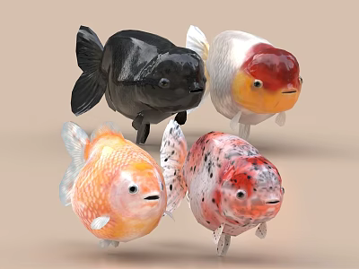 Black White Orange And Pink Spotted Goldfish As Aquatic Animals 3d model
