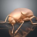 Modern Beetle Golden Flower Beetle Beetle Scarab 3d model