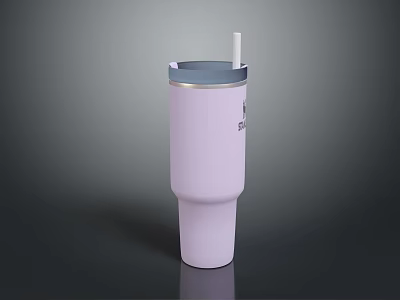 Everyday Household Essential White Insulated Tumbler With Silver Rim And Straw For Keeping Drinks Warm 3d model