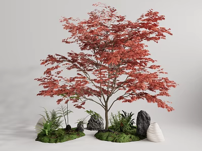 Charming Garden Ornament With Red Maple Tree Small Plants Stones And White Decorations 3d model