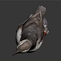 Adorable Puffin With Black And White Feathers Orange Beak And Feet On Rocky Base
