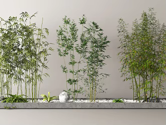 Bamboo Landscape Bamboo 3d model