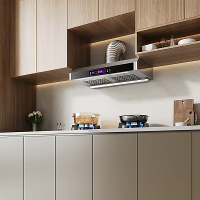Modern Kitchen Interior With Wooden Cabinets Range Hood Gas Stove Countertop And Decorative Elements 3d model