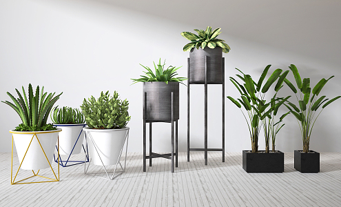 Modern potted plant combination 3d model